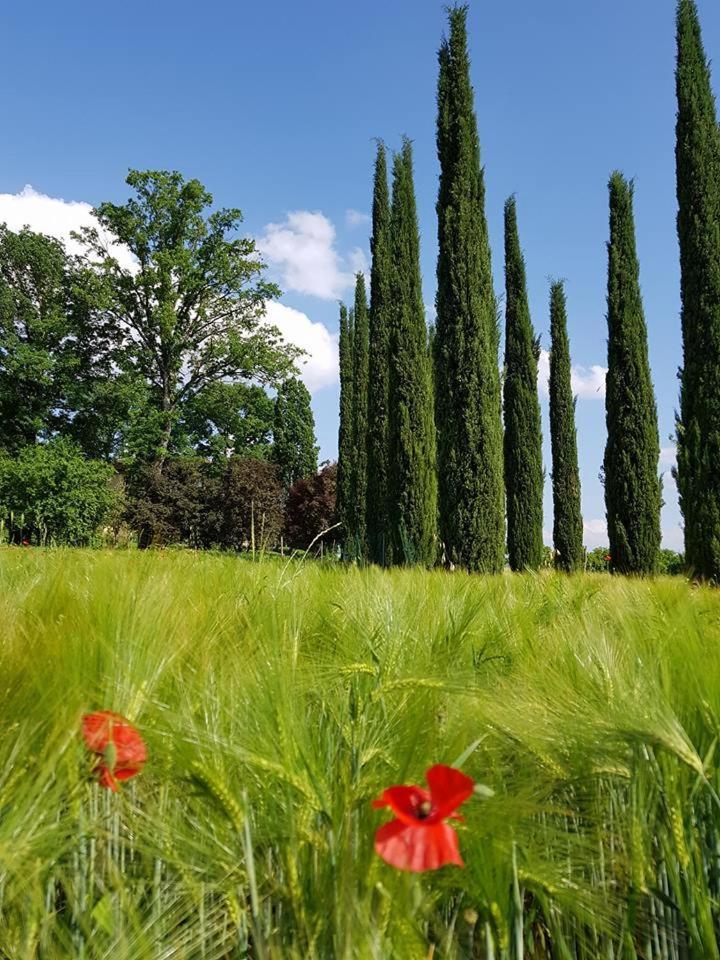 Bed and Breakfast Borgo Tramonte Pratovecchio Exterior foto