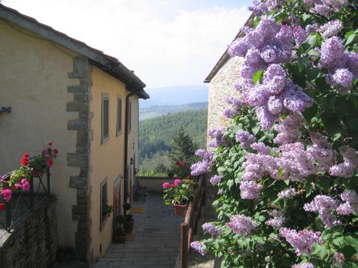 Bed and Breakfast Borgo Tramonte Pratovecchio Exterior foto