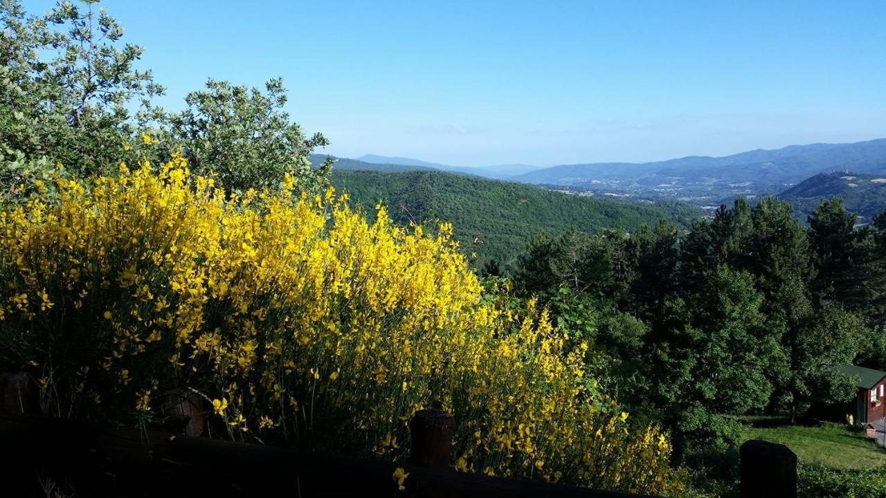 Bed and Breakfast Borgo Tramonte Pratovecchio Exterior foto